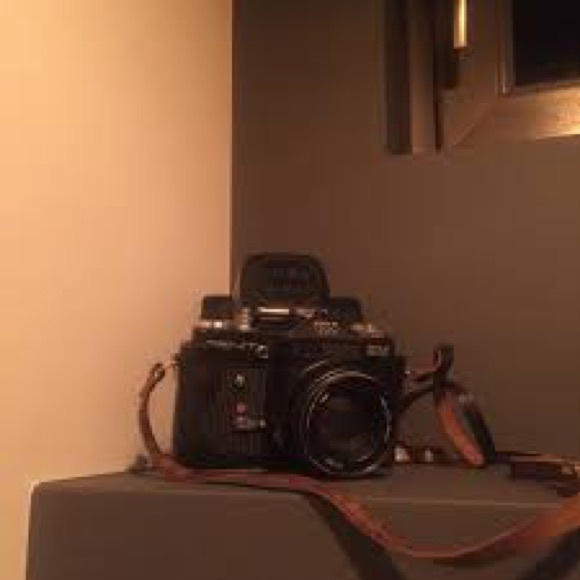 Meet your Posher, Gracie - Picture 4 of 4